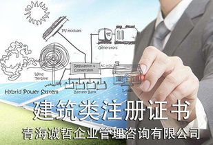 海南招标代理代办流程与商务代理服务详解